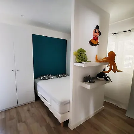 80 M2 Avec Jardin - 50m De La Tiki *